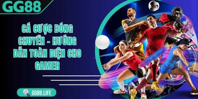 Cá Cược Bóng Chuyền